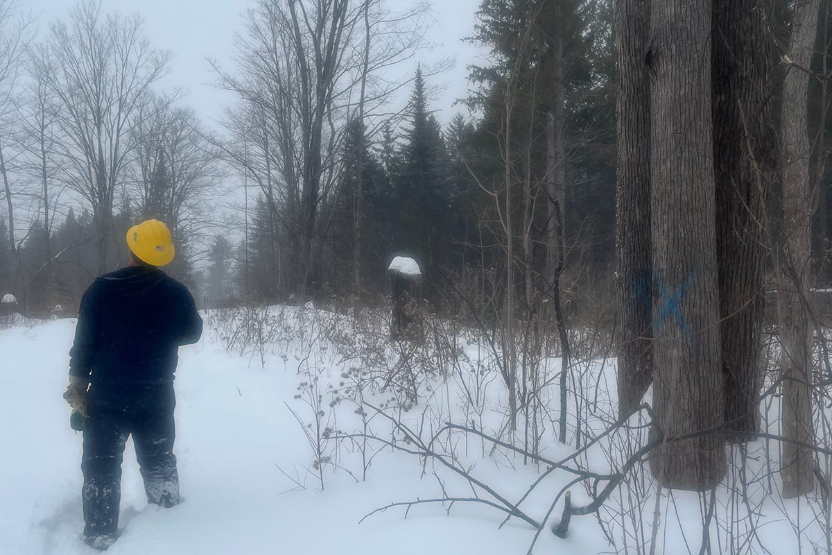 2025 Berlin Williams